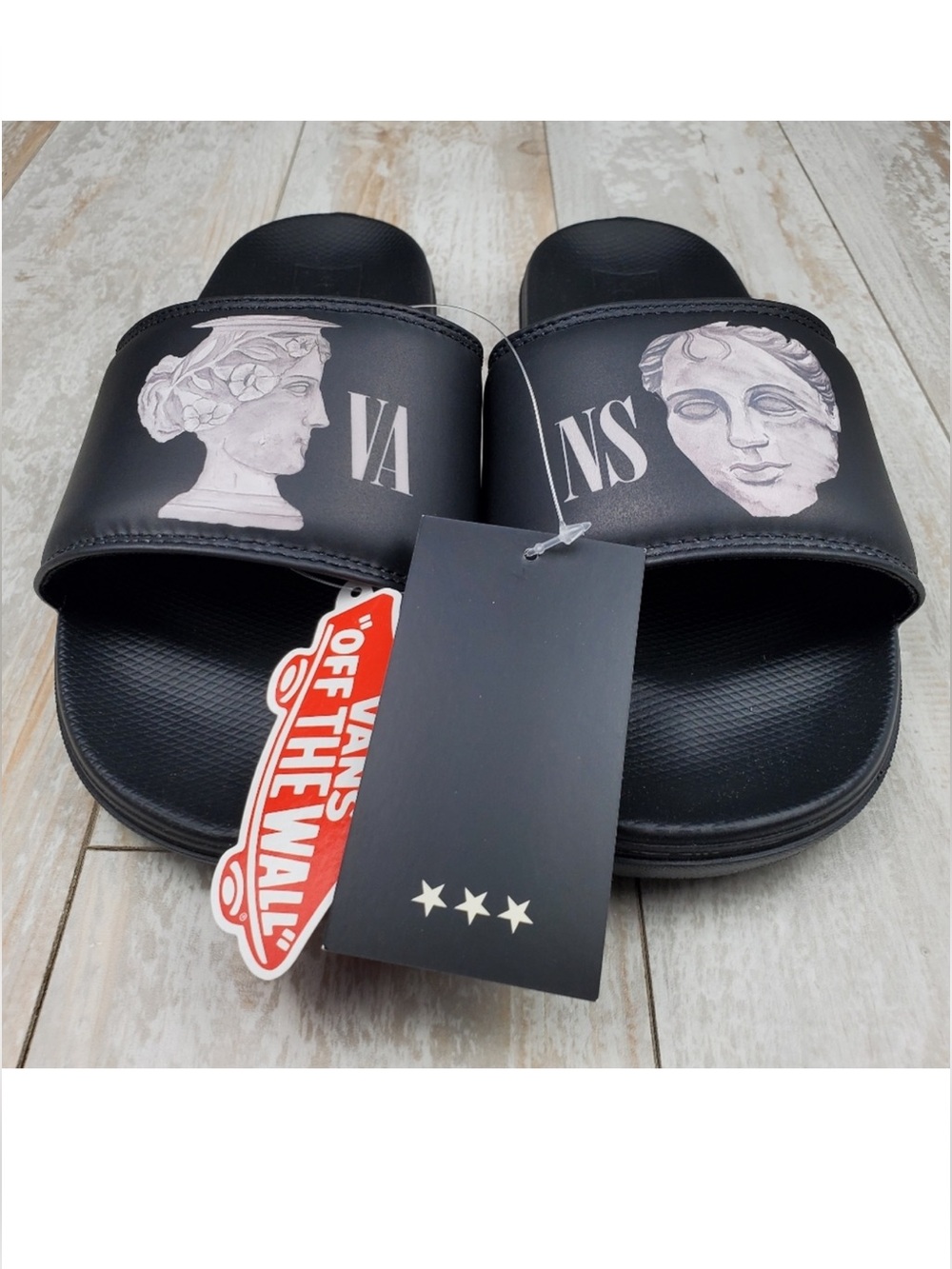 Vans Wade Goodall La Costa Slides